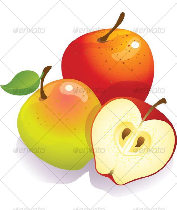 590x700 Elegant Cornucopia Clip Art 25 Best Fuit Clipart Images