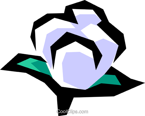480x385 Cotton Royalty Free Vector Clip Art Illustration Indu0556