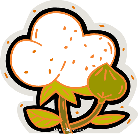 480x466 Cotton Plant Royalty Free Vector Clip Art Illustration Vc007570