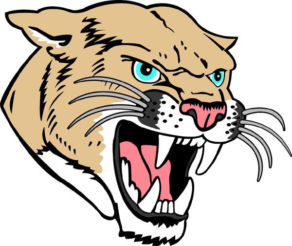 600x505 Cougar Head Clipart 713728