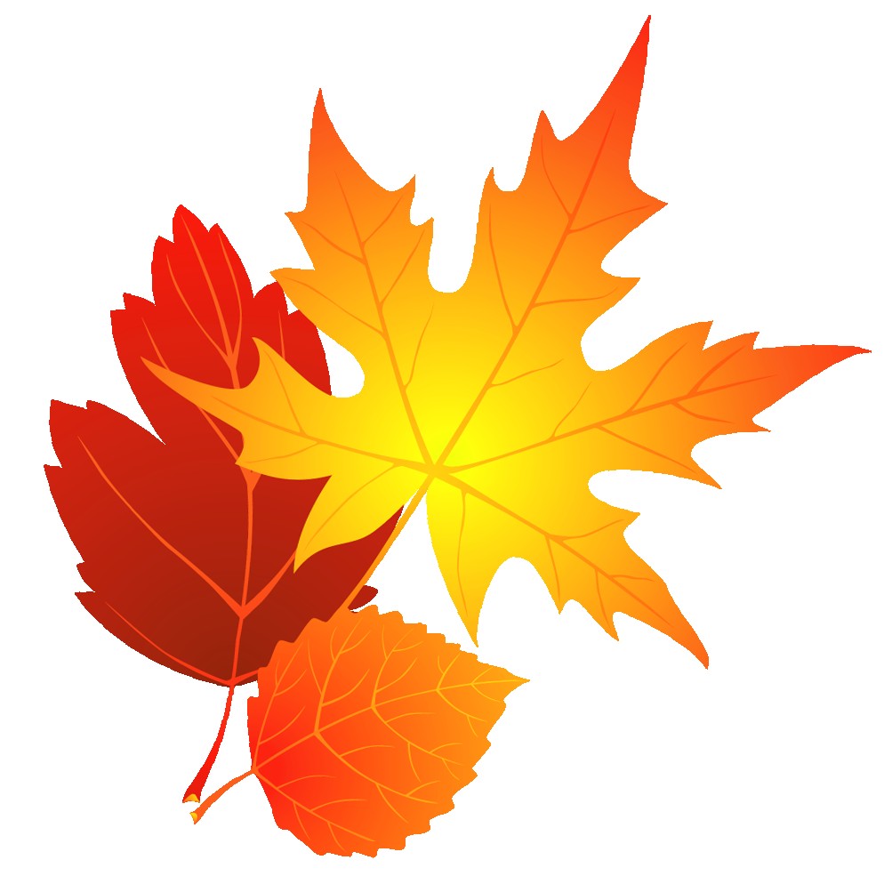 994x985 Clip Art Leaves Free Images On Page 0 Yanhe Clip Art