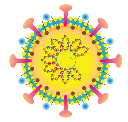 258x245 Covid 19 Coronavirus clipart