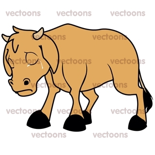 320x320 Calf Baby Cow Crying