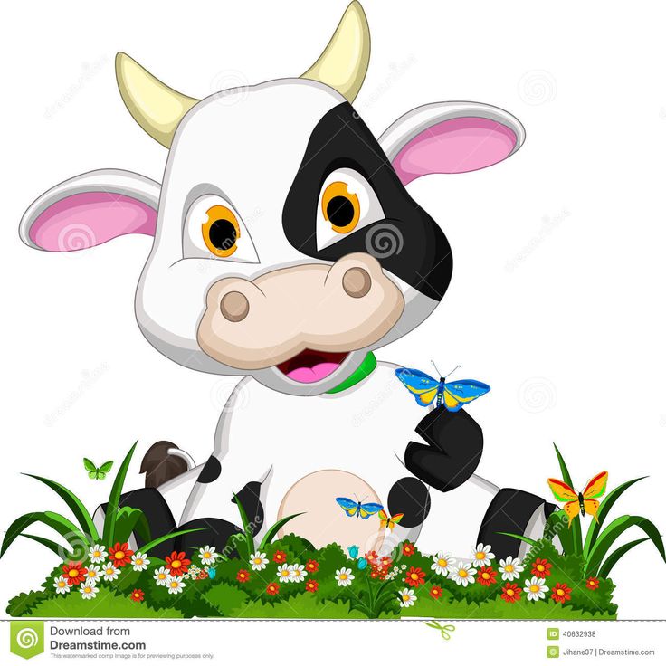 736x736 53 Best Cute Cows Images On Cute Cows, Cartoon Cow And Cow