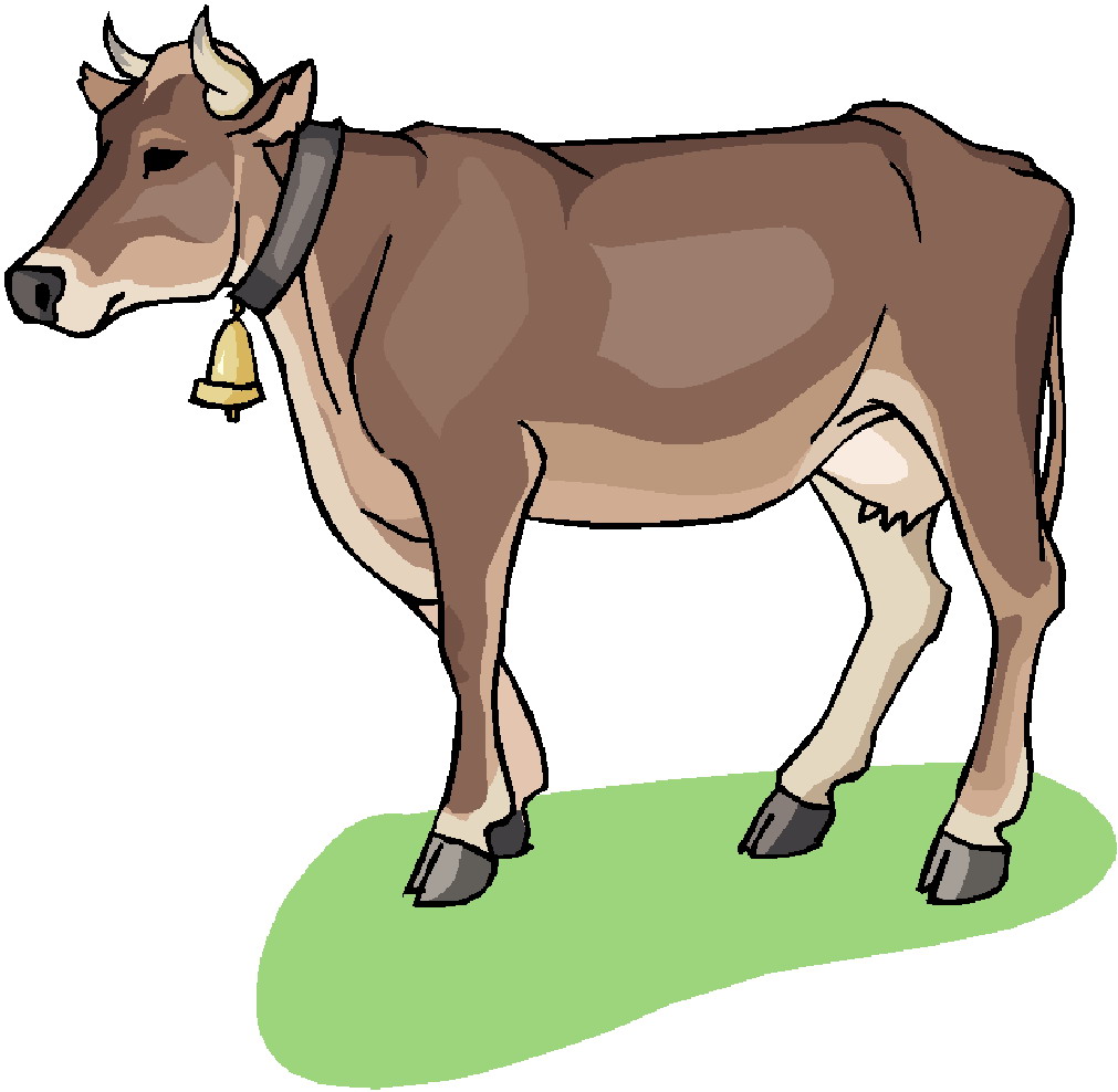 1011x988 Free Cow Clipart