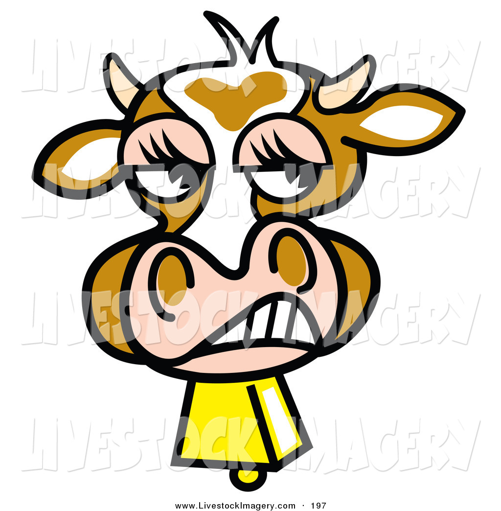 1024x1044 Royalty Free Cow Stock Livestock Designs