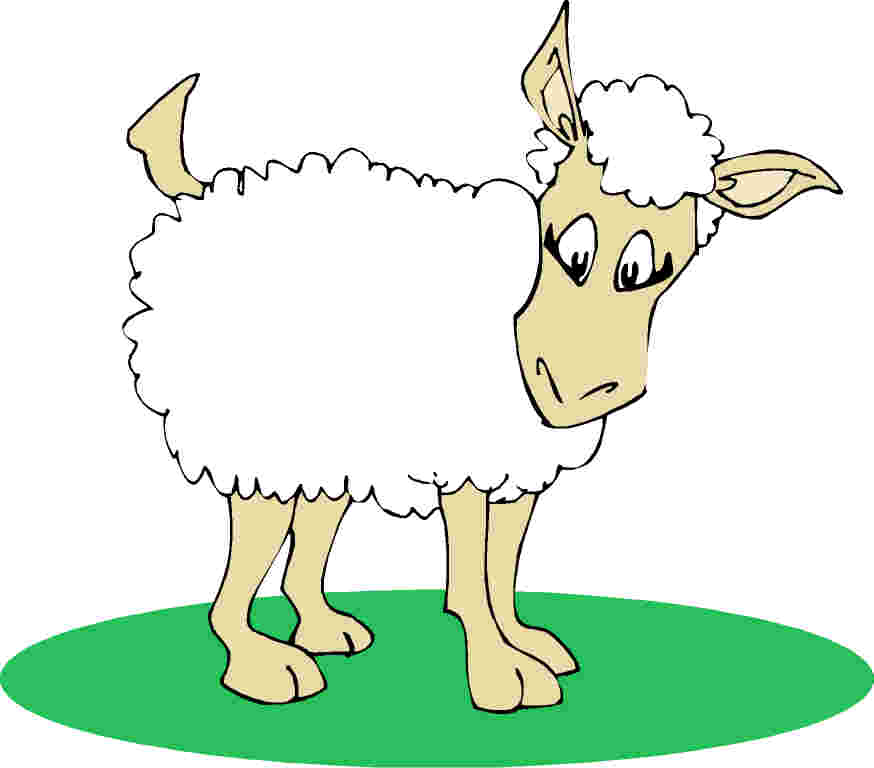 874x768 Clipart Image Of Sheep
