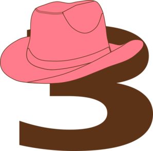 298x294 3 Cowgirl Hat Clip Art