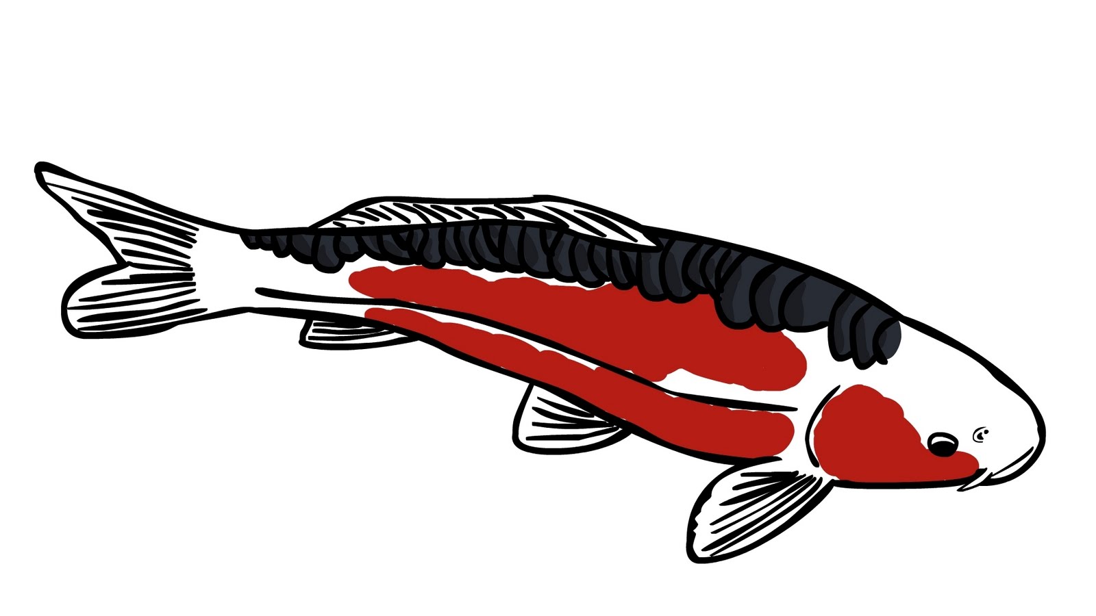 1600x900 Clipart Diploma