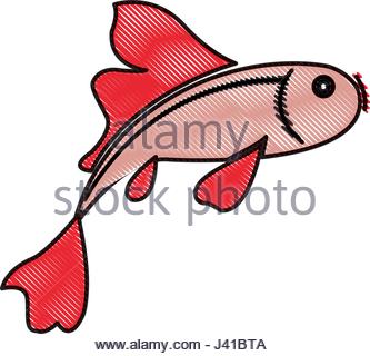 333x320 Art, Fish, China, Asian, Carp, Oriental, Backdrop, Background