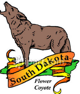 257x300 The South Dakota State Animal, The Flower Coyote