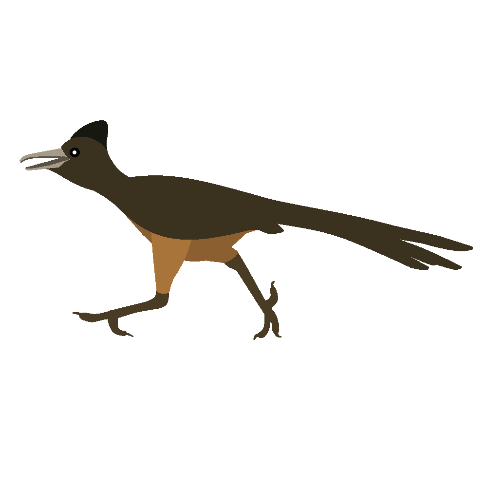 1000x1000 Top 89 Roadrunner Clip Art