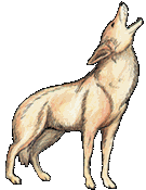 135x175 Coyote Clip Art 13 135x175 Clipart Panda