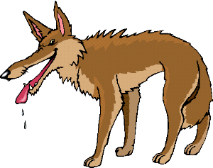 300x237 Coyote Clipart Clipart Panda