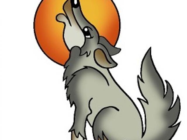 640x480 Fotos De Coyote Clipart Imagenes Deamor