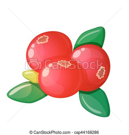 450x470 Colorful Cartoon Illustration Of Cranberry On A White Vector