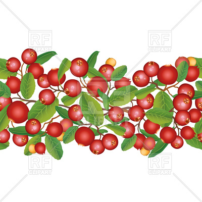 400x400 Cranberry Seamless Pattern Royalty Free Vector Clip Art Image