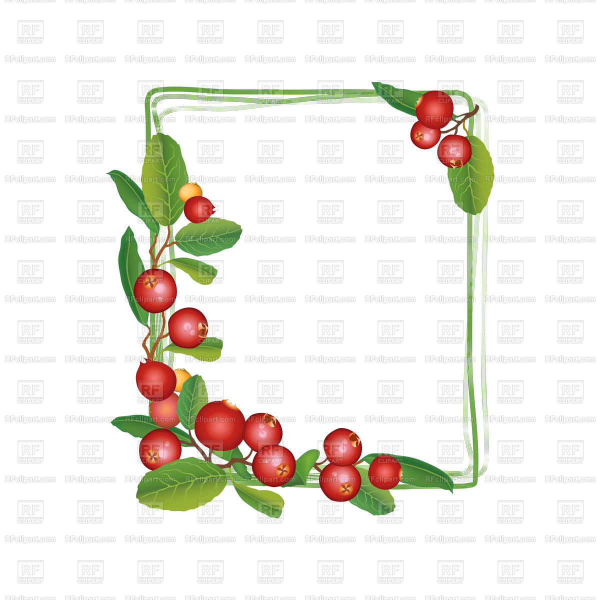 1200x1200 Cranberry Summer Frame On White Background Royalty Free Vector