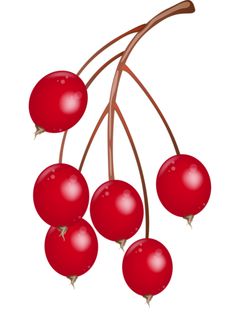 236x321 Pin By Snowmoon On Png And Gifs