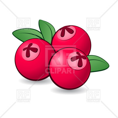 400x400 Cartoon Cranberry With Green Leaves On White Background Royalty
