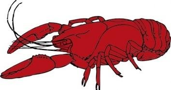 354x186 Crayfish Clipart Crawfish 3198445