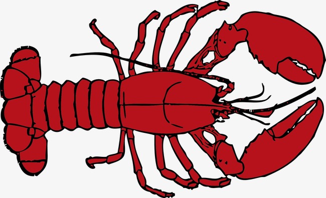 650x395 Red Crayfish, Red, Crayfish, Biological Png Image And Clipart