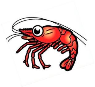 309x284 Shrimps Clipart