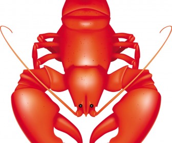 336x280 Lobster Clip Art