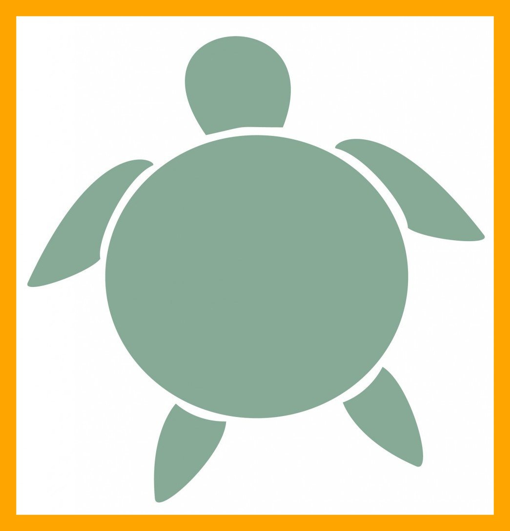 1045x1090 Appealing Turtle Outline Clip Art On For Drawing Crayola Popular