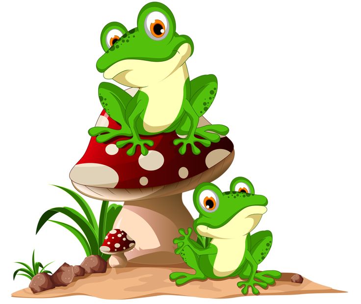 736x620 Parrot Clipart Rainforest Frog