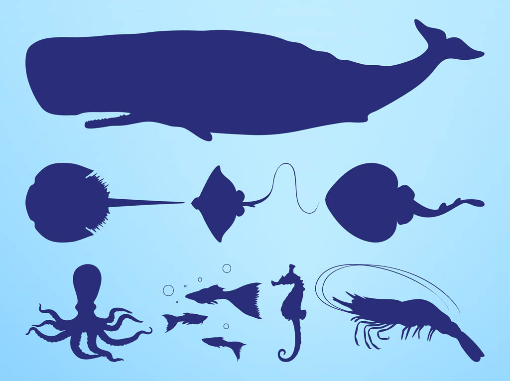 1024x765 Free Clipart Ocean Creature Silhouette