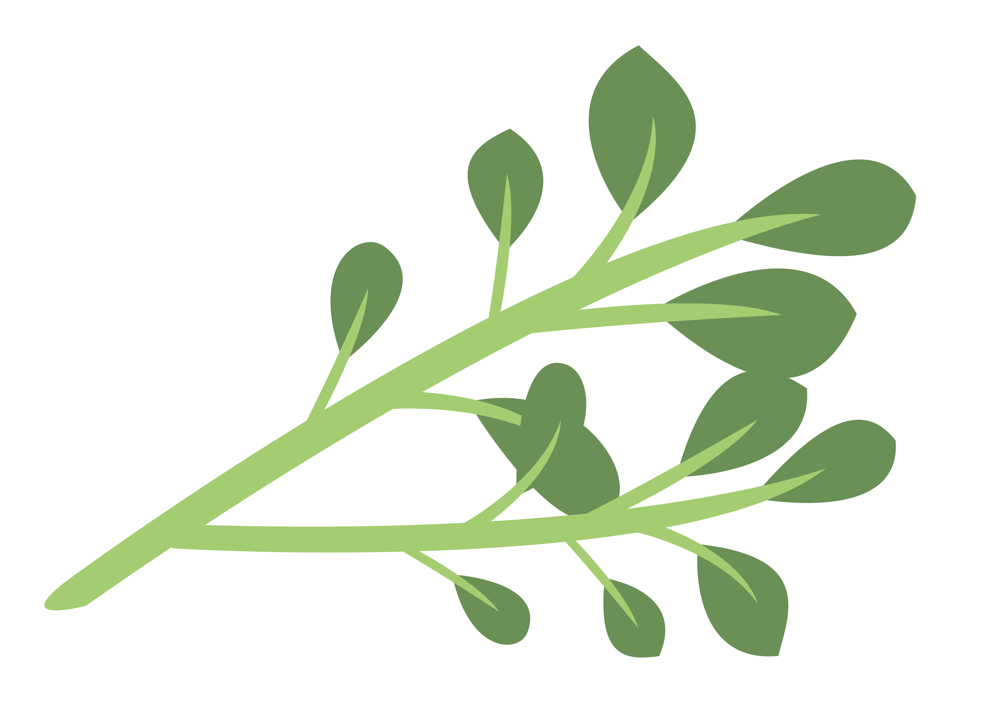 3316x2432 Thyme Thyme Clipart