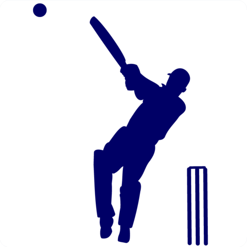 480x480 Image Result For Cricket Clipart Wis Diglit Malay Rungta