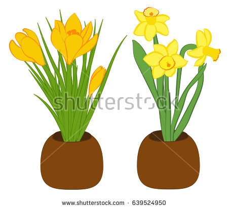 450x413 Crocus Clipart