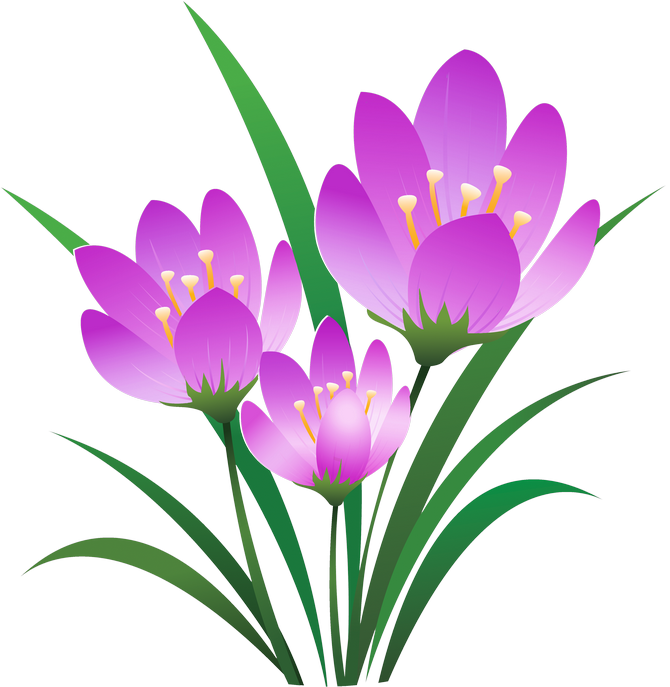 670x687 Crocus72.png Painted Flowers, Cross Stitch And Stitch
