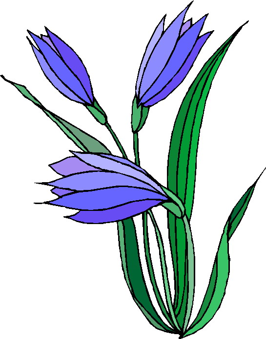 545x696 Flowers Clip Art