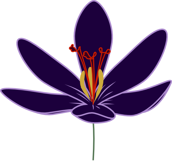 600x563 Purple Crocus Blossom Clip Art