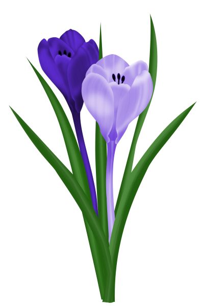 396x599 23 Best Clip Flowers Images