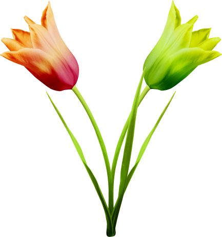 433x461 672 Best ~clip Art ~ Images On Clip Art