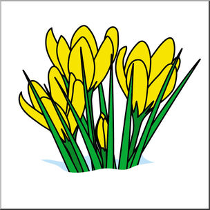 304x304 Clip Art Flower Crocuses Color I Abcteach