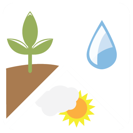 430x430 Top Crops In Central Valley California