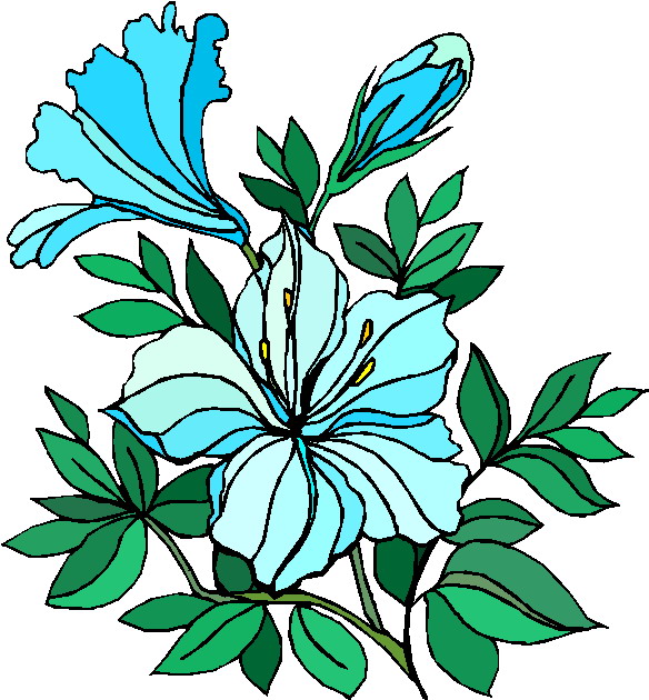 584x630 Clip Art Flowers And Plants Plants