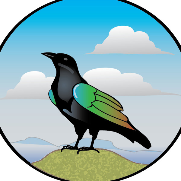 600x600 The Painted Crow Teaching Resources Teachers Pay Teachers