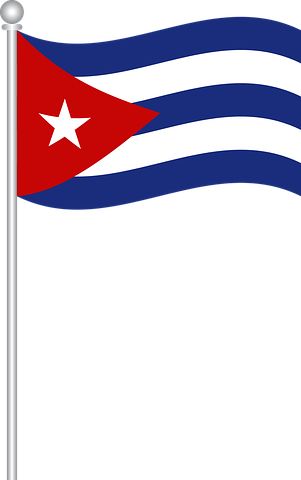 301x480 47 Best Cuba Photos Images On Hawaiian Flowers, Hawaii