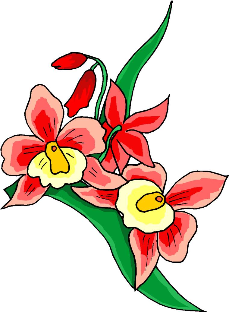 760x1035 Nice Flower Images Flower Clip Art