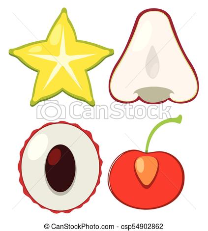 423x470 Four Types Of Fruits Cut In Half Illustration Clip Art Vector