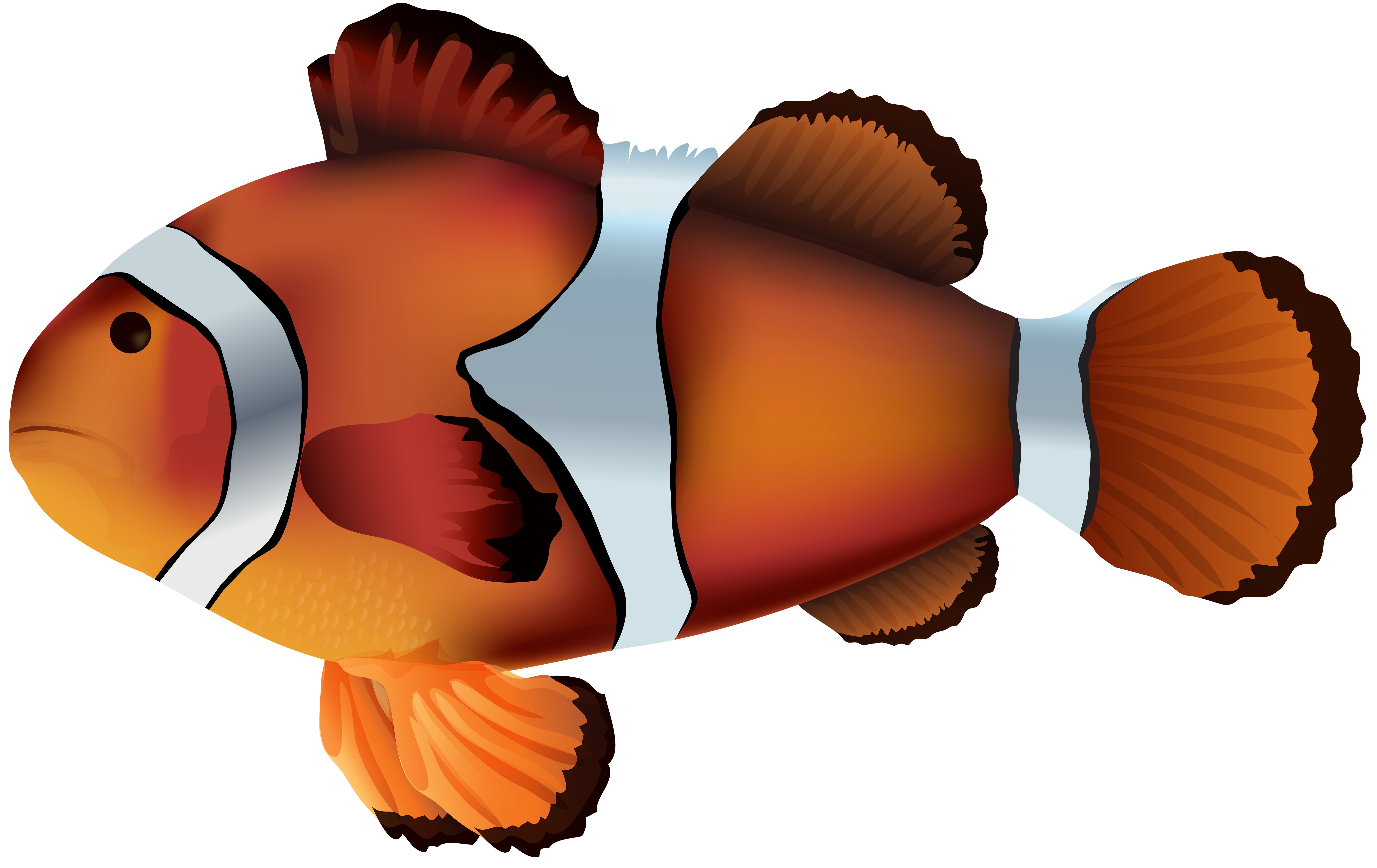 6899x4349 Clownfish Png Transparent Clip Art Imageu200b Gallery Yopriceville