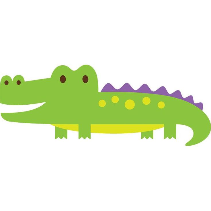 736x736 39 Best Alligator Images On Alligators, Crocodile