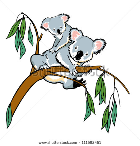 450x470 Koala Bear Clipart Drawn 3653915