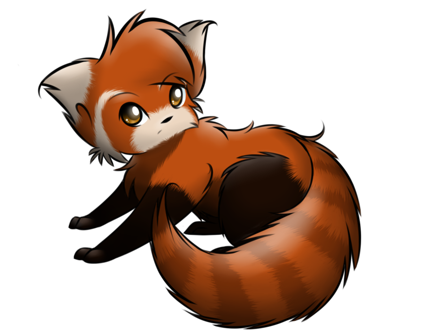 900x692 Red Panda How To Draw A Chibi Panda Free Download Clip Art 2